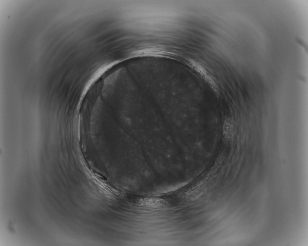 X0000096721323200803041354