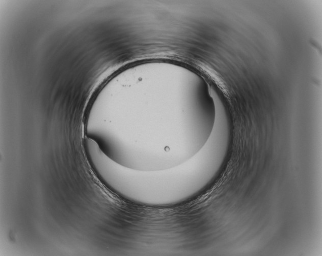 X0000096721324200803041354