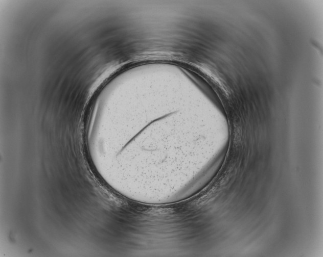 X0000096721325200803041354