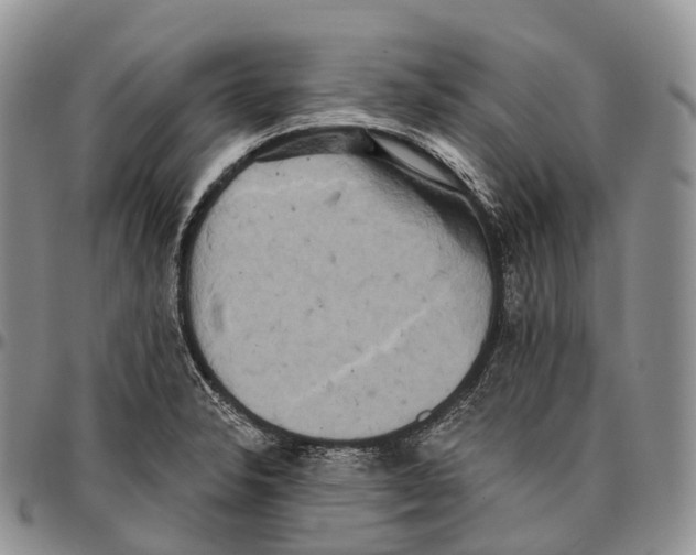 X0000096721326200803041354