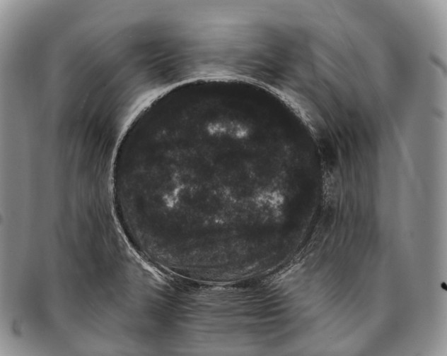 X0000096721327200803041354