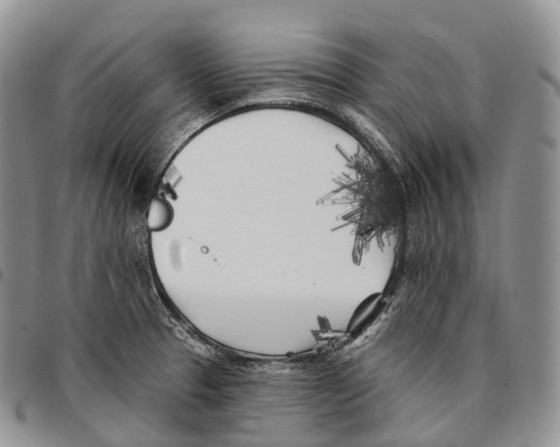 X0000096721329200803041354