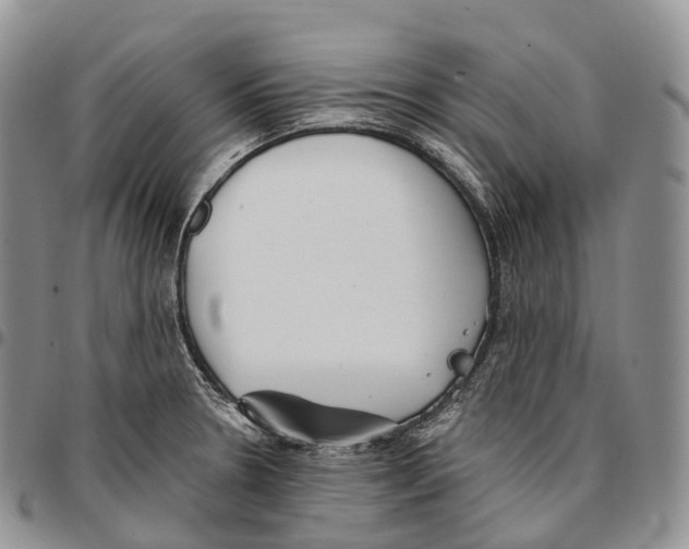 X0000096721330200803041354