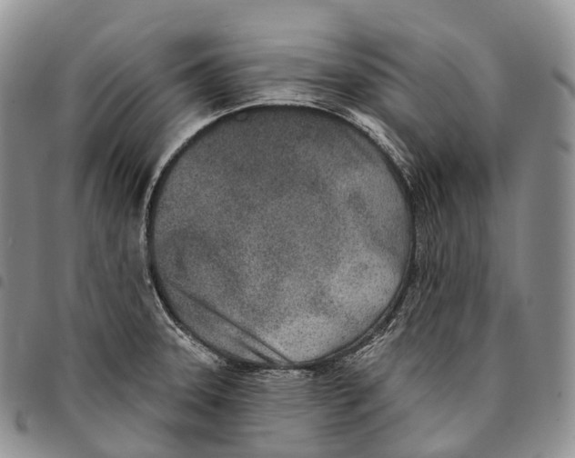 X0000096721331200803041354