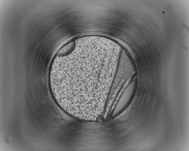 X0000096721333200803041354