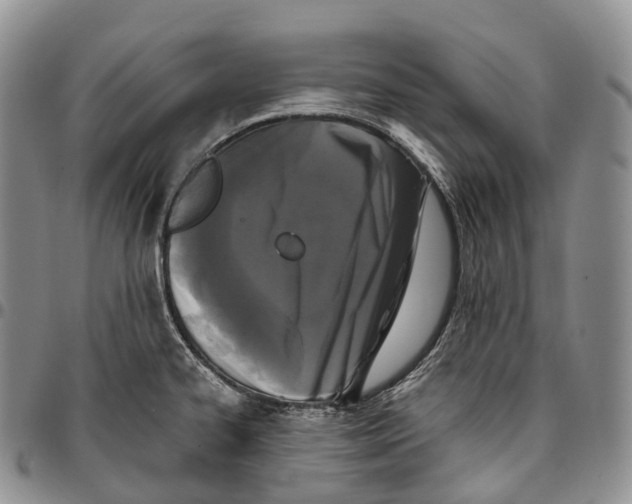 X0000096721334200803041354