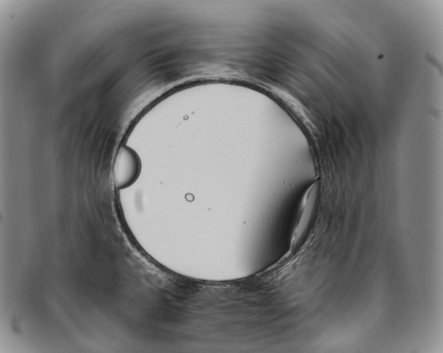 X0000096721335200803041354