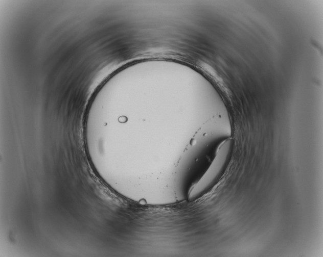 X0000096721336200803041354