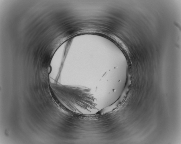 X0000096721337200803041354