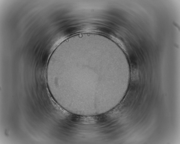 X0000096721338200803041354