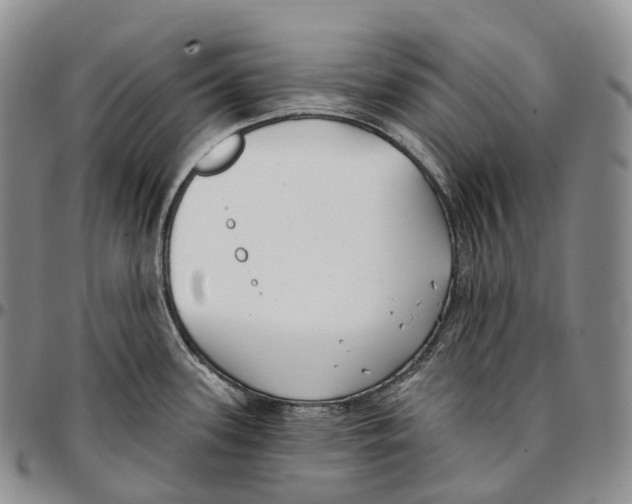 X0000096721339200803041354