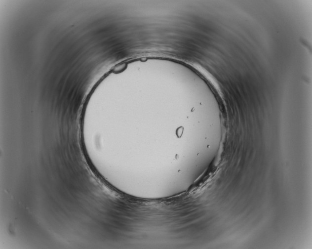 X0000096721341200803041354