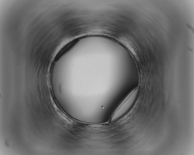 X0000096721342200803041354