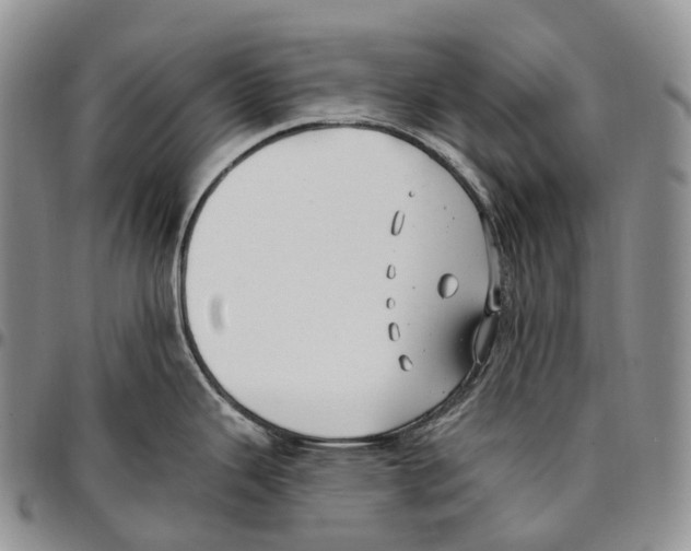 X0000096721343200803041354