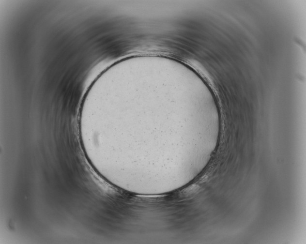 X0000096721344200803041354