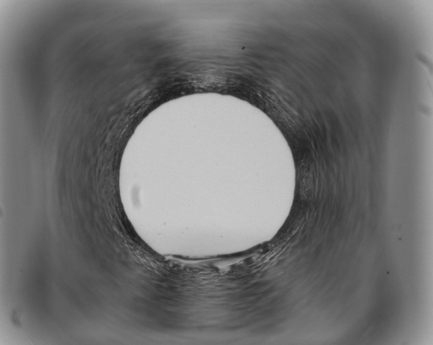 X0000096721345200803041353