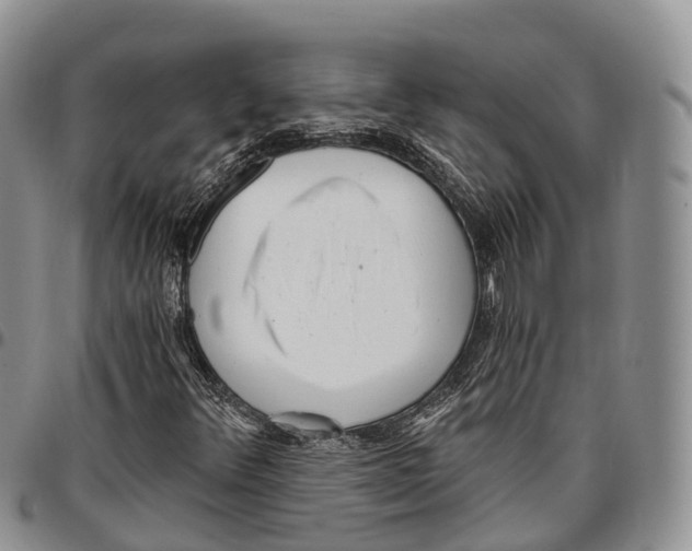 X0000096721348200803041353