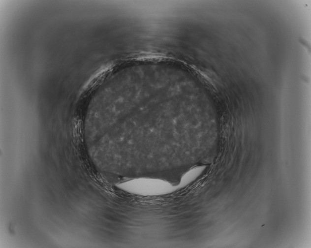 X0000096721351200803041353