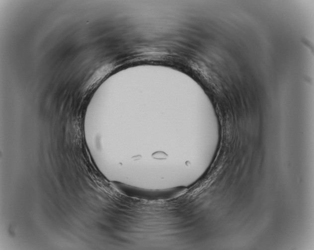 X0000096721354200803041353