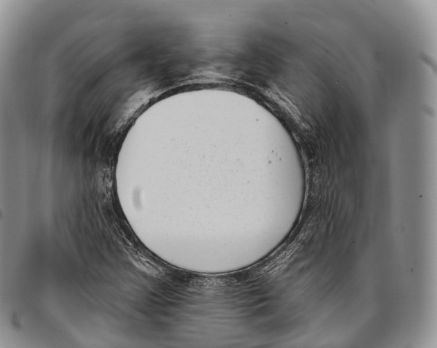 X0000096721355200803041353