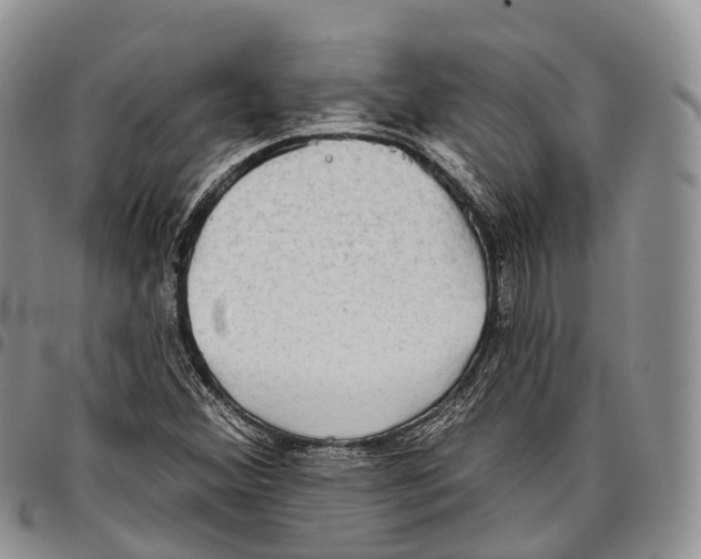 X0000096721356200803041353