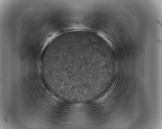 X0000096721357200803041353