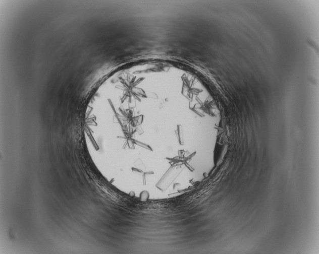 X0000096721359200803041353