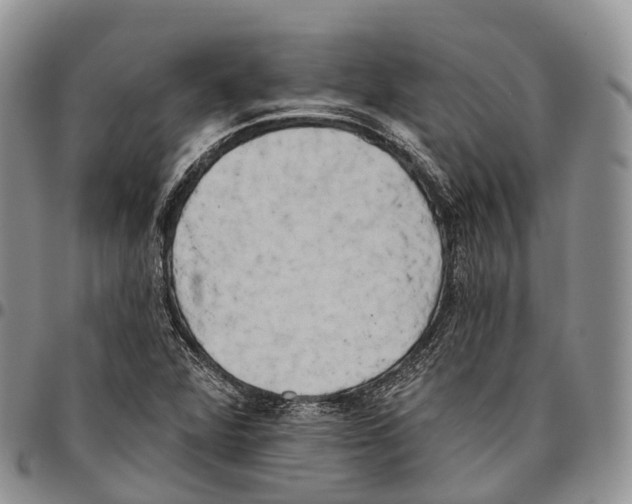 X0000096721360200803041353