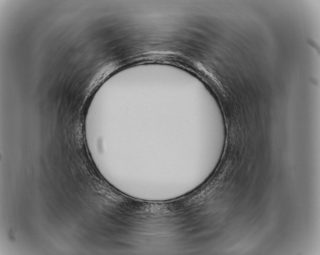 X0000096721362200803041353