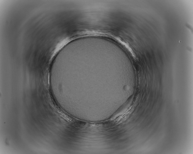 X0000096721365200803041353