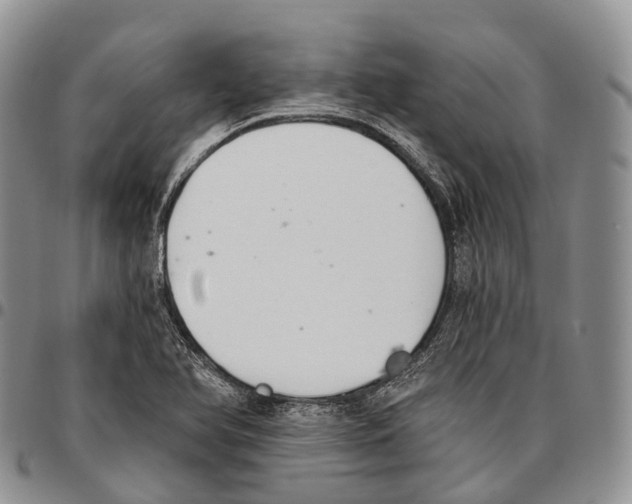 X0000096721366200803041353