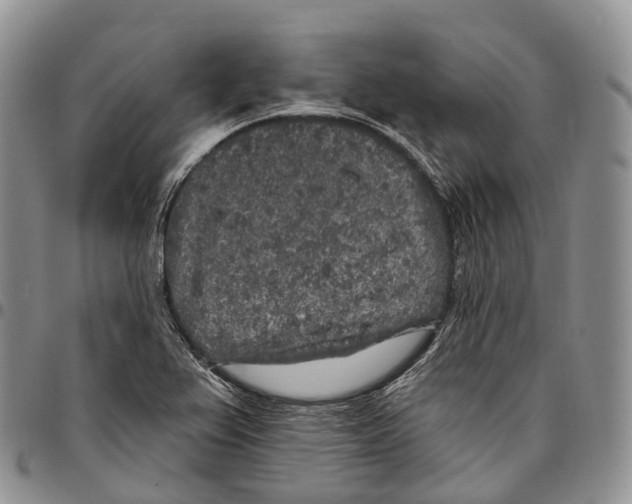 X0000096721367200803041353