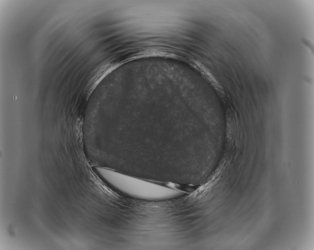 X0000096721369200803041353