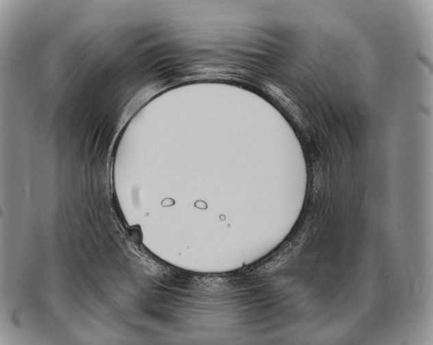 X0000096721370200803041353