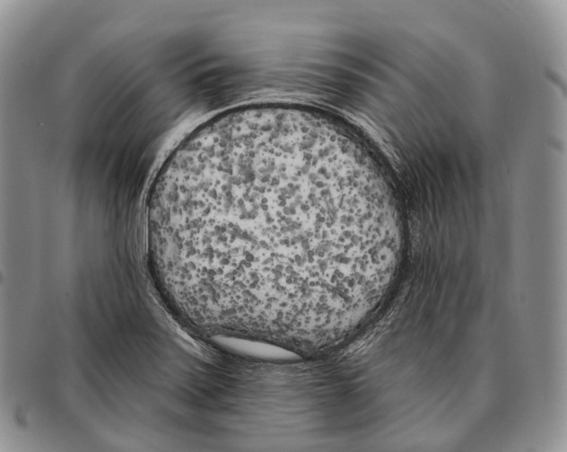 X0000096721371200803041353