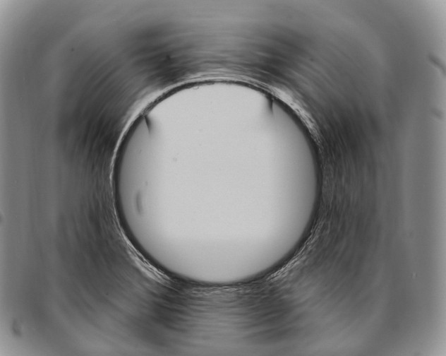 X0000096721372200803041353