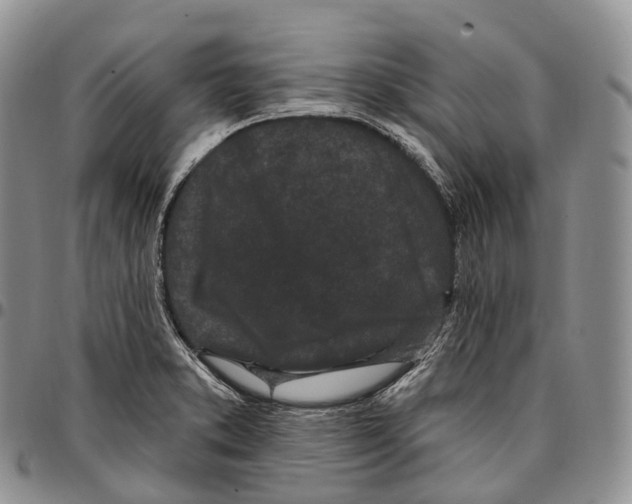 X0000096721373200803041353