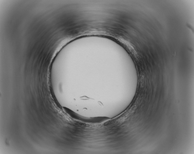 X0000096721374200803041353