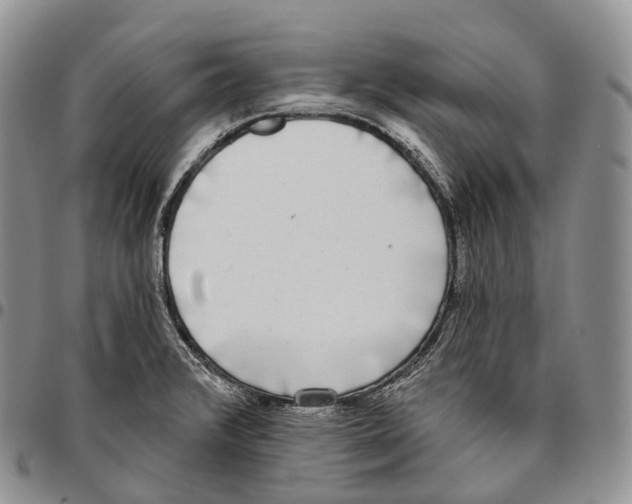 X0000096721376200803041353