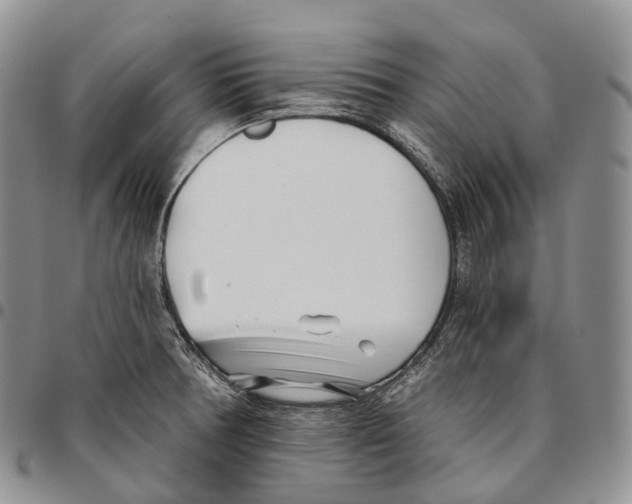 X0000096721378200803041353