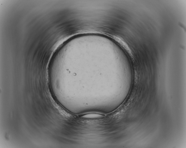 X0000096721380200803041353