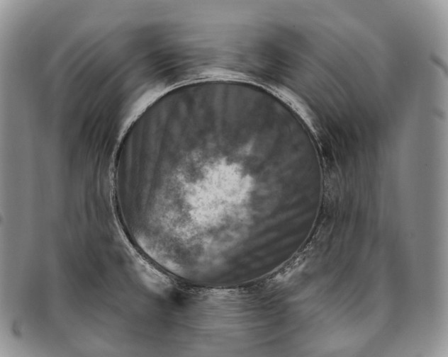 X0000096721381200803041353