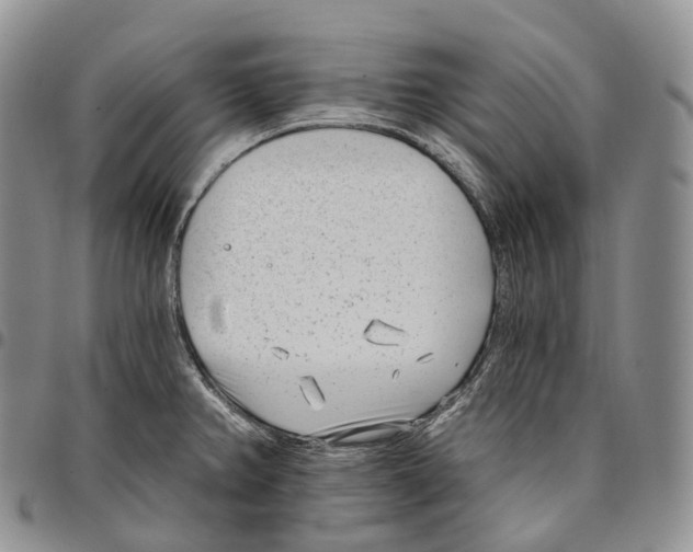 X0000096721382200803041353