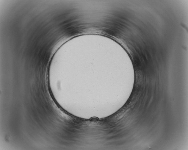 X0000096721387200803041353