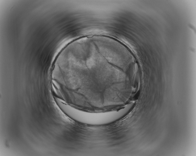 X0000096721392200803041353