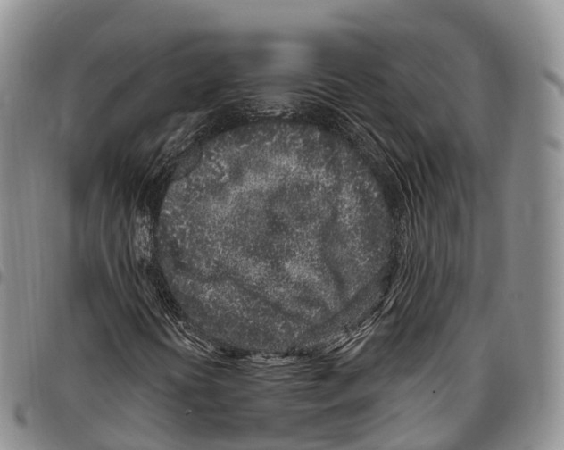 X0000096721394200803041352