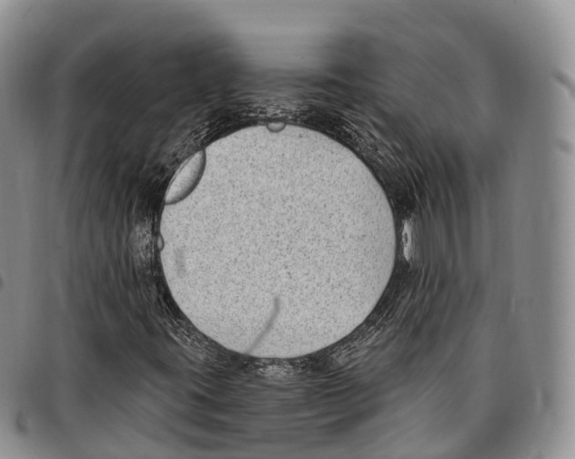 X0000096721395200803041352