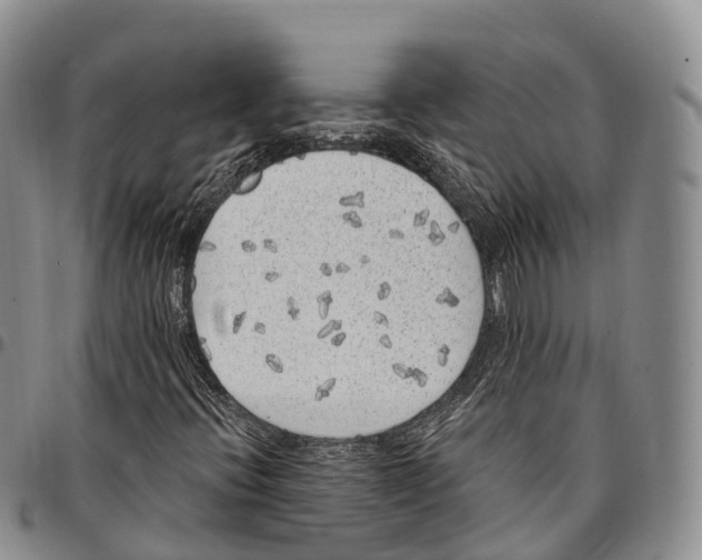 X0000096721396200803041352