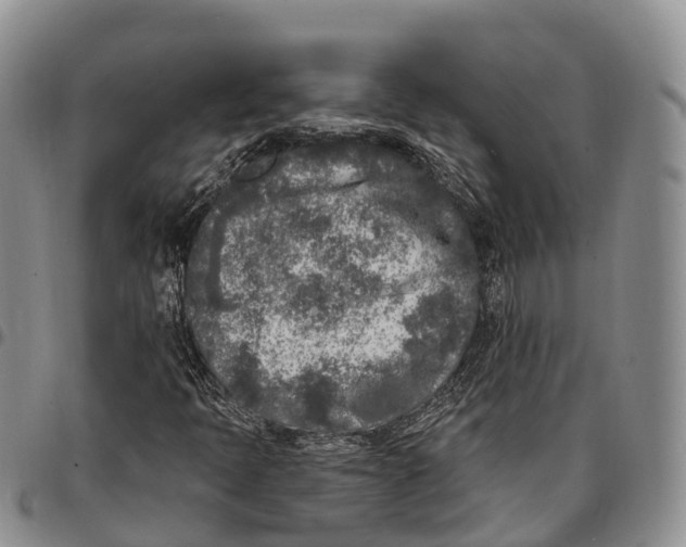 X0000096721397200803041352