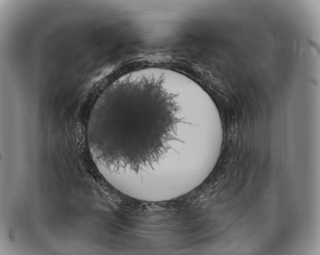 X0000096721398200803041352